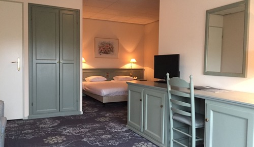 Habitación Deluxe con 2 camas individuales
