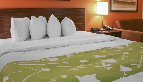 Habitación estándar, 1 cama de matrimonio grande con sofá cama, no fumadores (1 Person Sofa Bed)