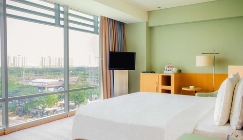 Habitación Premium, 1 cama de matrimonio grande