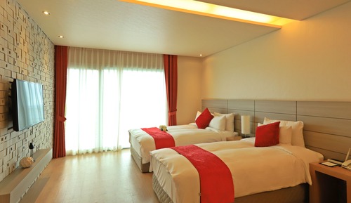 Habitación Deluxe con 2 camas individuales