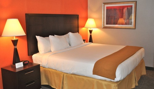 Habitación estándar, 1 cama de matrimonio grande (Mobility, Roll-In Shower)