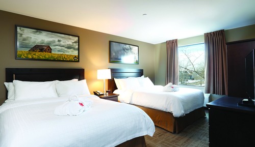 Suite Business