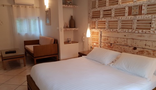 Habitación estándar doble, 1 cama doble, vistas al jardín