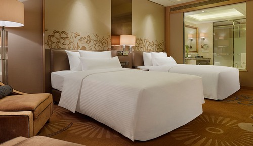 Habitación Deluxe con 2 camas individuales