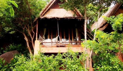 Cottage Tree Top Villa
