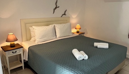 Habitación con 1 cama doble o 2 individuales, vistas al jardín