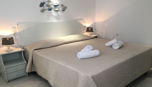 Habitación con 1 cama doble o 2 individuales, vistas al patio