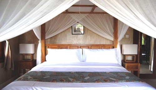 Habitación estándar, 1 cama de matrimonio grande, terraza, vistas a la piscina