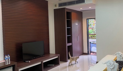 Superior Room Pet Friendly