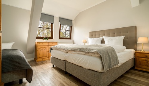 Suite familiar, 1 habitación