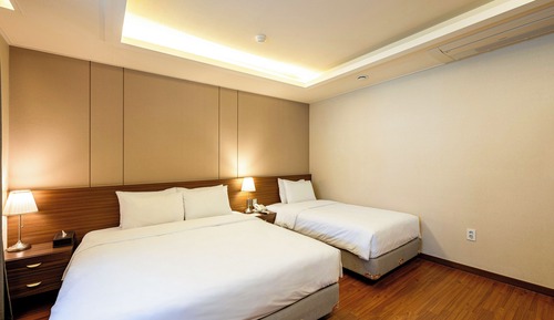 Habitación Deluxe con 2 camas individuales