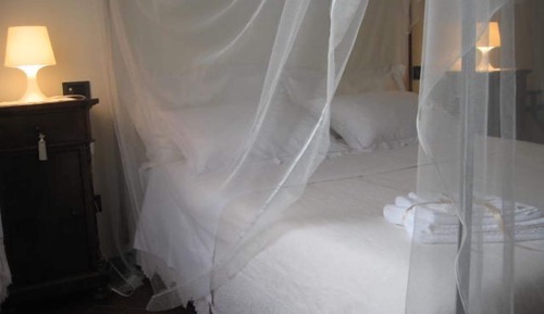 Suite, baño privado