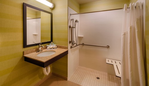 Habitación estándar, 1 cama de matrimonio grande, ducha adaptada (Communication, Roll-In Shower)