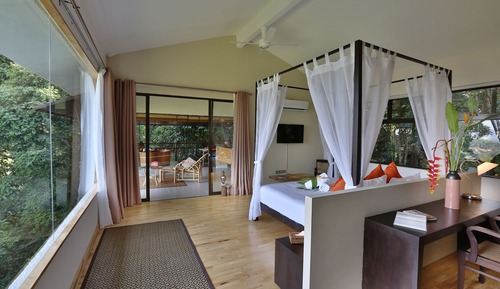 Canopy Suite