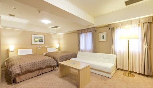 Habitación Deluxe con 2 camas individuales