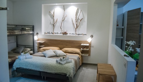 Estudio clásico, vistas al jardín (1 letto queen+1 letto a castello)
