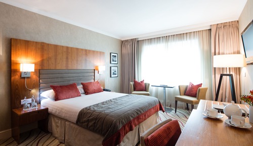 Habitación ejecutiva con 1 cama doble o 2 individuales