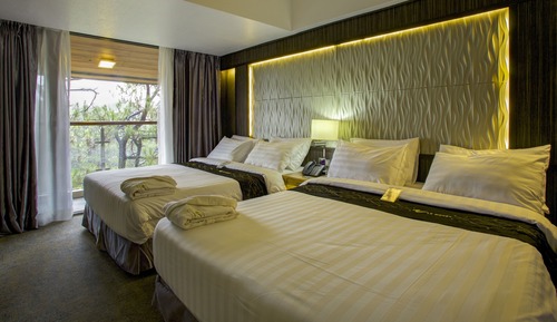 Habitación Deluxe, vistas al parque