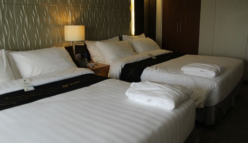Habitación Deluxe (Forest View, Non Aircon)