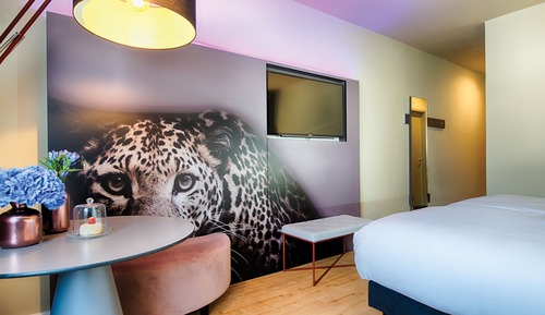 Habitación Confort