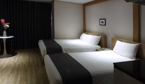 Habitación Deluxe con 2 camas individuales