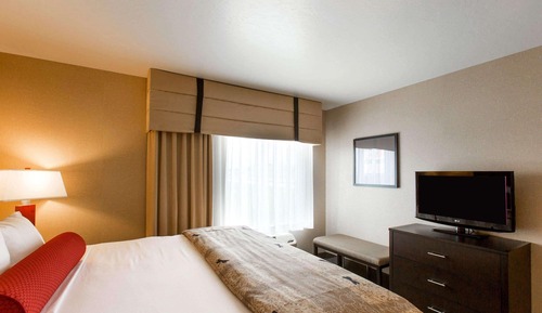 Suite, 1 cama de matrimonio grande con sofá cama, accesible para personas con discapacidad