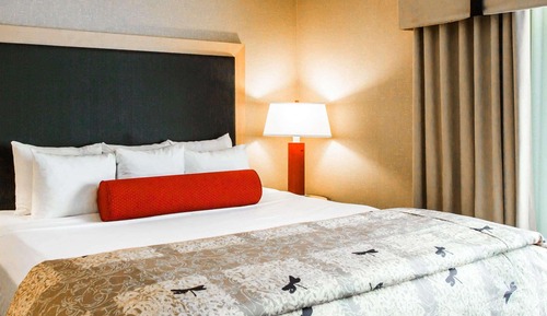 Suite, 1 cama de matrimonio grande con sofá cama, accesible para personas con discapacidad (Upgrade)
