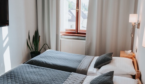 Habitación estándar con 2 camas individuales