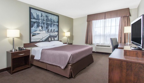 Habitación estándar, 1 cama de matrimonio, no fumadores