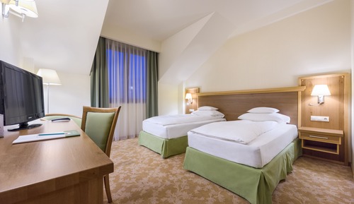 Habitación estándar con 2 camas individuales (Standard Twin Room Single Use)