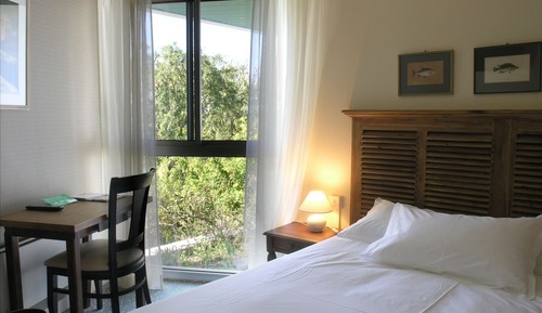 Habitación Confort doble, 1 cama doble, baño privado, vistas al jardín