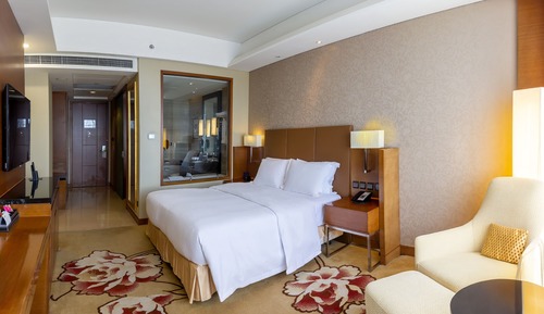 Habitación Business, 1 cama de matrimonio grande