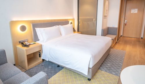 Habitación estándar, 1 cama de matrimonio grande