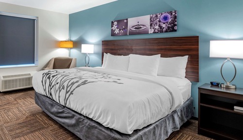 Habitación estándar, 1 cama de matrimonio grande, no fumadores