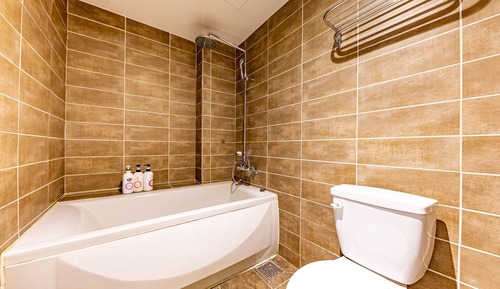 Room (Premium twin)