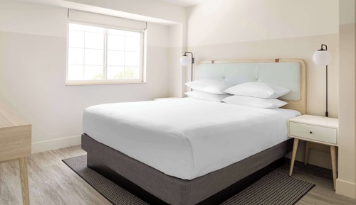 Suite ejecutiva, 1 cama de matrimonio grande