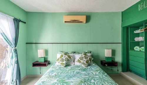 Leafy Oasis in the Heart of Cabo San Lucas