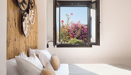 Habitación estándar, vistas al jardín