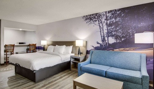 Habitación estándar, 1 cama de matrimonio grande, no fumadores