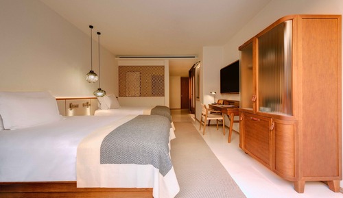 Habitación Deluxe (Hideaway)