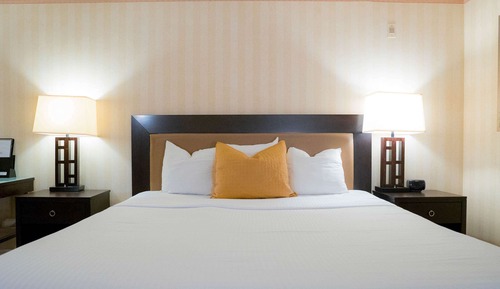 Suite Deluxe, 1 cama de matrimonio grande, no fumadores, cocina básica