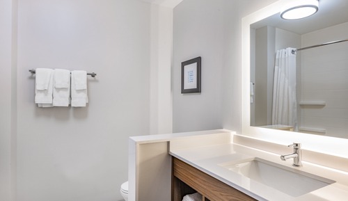 Habitación estándar, 1 cama de matrimonio grande, accesible para personas con discapacidad (Comm)