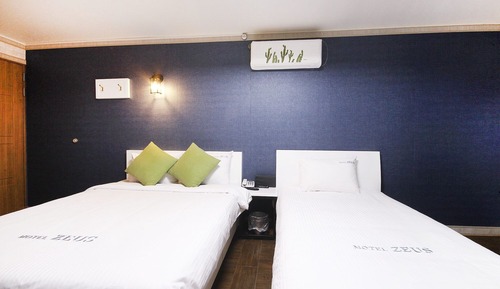 Room (Special room twin (free access to Net)