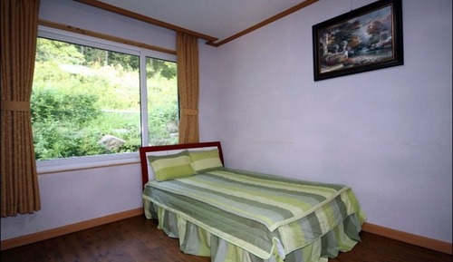 Room (Rhododendron)