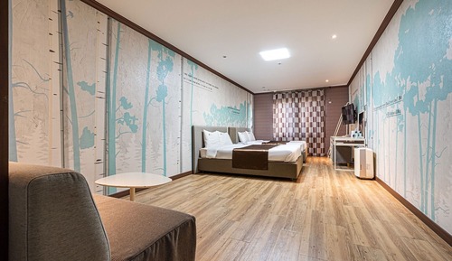 Room (Deluxe twin)