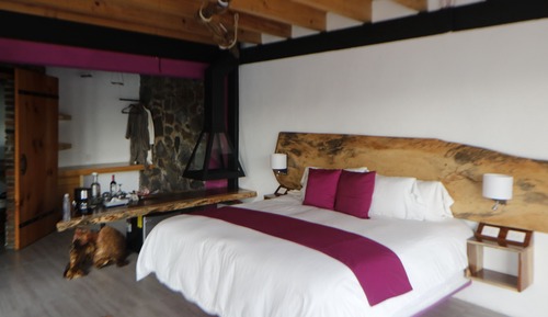 Suite Premium