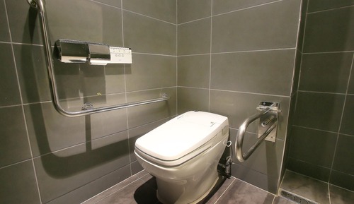 Room (Special Room - Twin (Non-Smoking))
