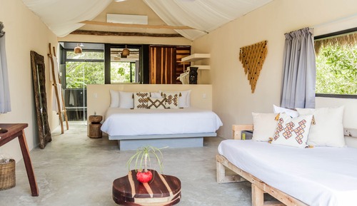 Jungle Suite, Jungle View
