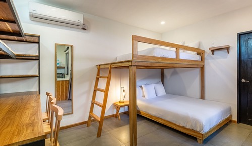 Suite estudio Premium
