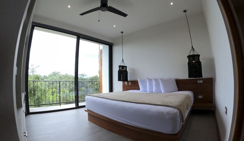 Luxury Apartment